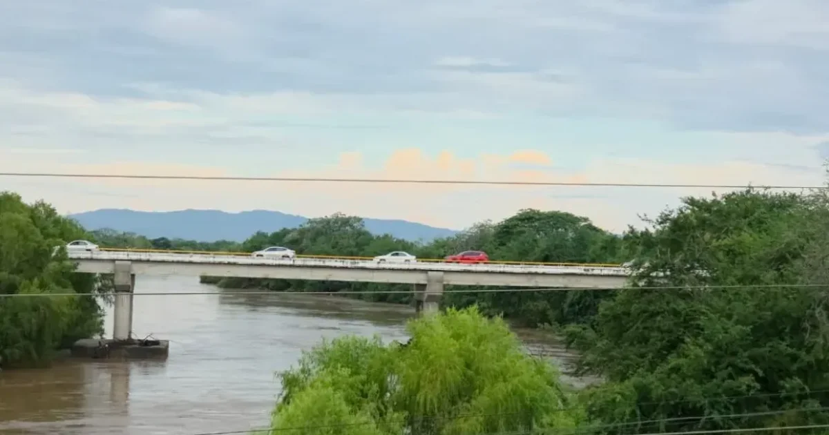 Placas de Nayarit o Jalisco: ¿Qué te conviene más al comprar un auto en la Bahía?